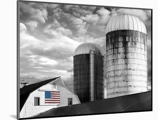 Flags of Our Farmers II-James McLoughlin-Mounted Photographic Print