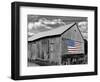 Flags of Our Farmers IV-James McLoughlin-Framed Photographic Print