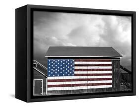 Flags of Our Farmers IX-James McLoughlin-Framed Stretched Canvas