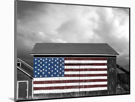 Flags of Our Farmers IX-James McLoughlin-Mounted Photographic Print