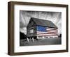 Flags of Our Farmers XIV-James McLoughlin-Framed Photographic Print