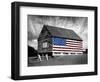 Flags of Our Farmers XIV-James McLoughlin-Framed Photographic Print