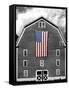 Flags of Our Farmers XIX-James McLoughlin-Framed Stretched Canvas