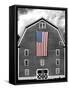 Flags of Our Farmers XIX-James McLoughlin-Framed Stretched Canvas