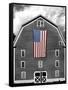 Flags of Our Farmers XIX-James McLoughlin-Framed Stretched Canvas