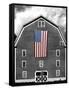 Flags of Our Farmers XIX-James McLoughlin-Framed Stretched Canvas