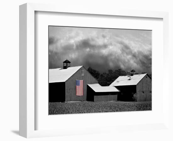 Flags of Our Farmers XV-James McLoughlin-Framed Photographic Print