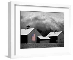 Flags of Our Farmers XV-James McLoughlin-Framed Photographic Print