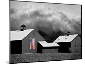 Flags of Our Farmers XV-James McLoughlin-Mounted Photographic Print