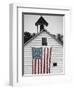 Flags of Our Farmers XVII-James McLoughlin-Framed Photographic Print