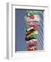 Flags of the Nations, Athens, Greece-Paul Sutton-Framed Photographic Print