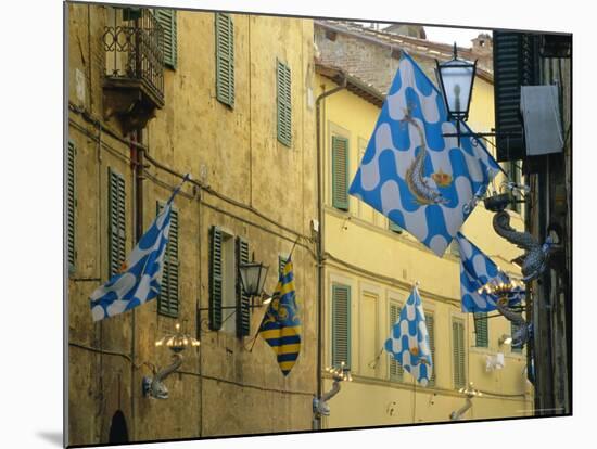 Flags of the Onda (Wave) Contrada in the Via Giovanni Dupre, Siena, Tuscany, Italy, Europe-Ruth Tomlinson-Mounted Photographic Print