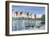 Flags on Lac Leman, 2010-Vincent Alexander Booth-Framed Premium Giclee Print