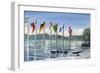 Flags on Lac Leman, 2010-Vincent Alexander Booth-Framed Premium Giclee Print