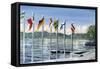 Flags on Lac Leman, 2010-Vincent Alexander Booth-Framed Stretched Canvas