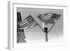 Flags on Lightpost-Russell Lee-Framed Photographic Print