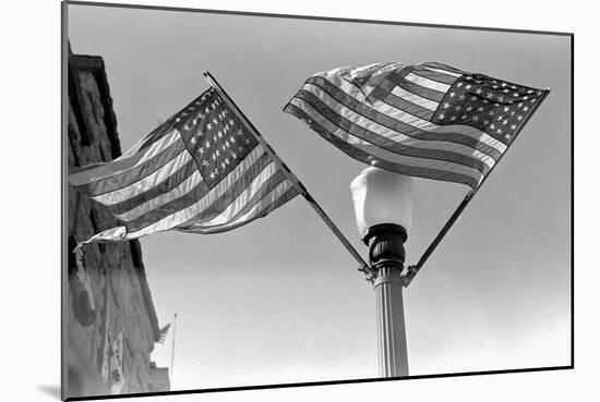 Flags on Lightpost-Russell Lee-Mounted Photographic Print