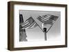 Flags on Lightpost-Russell Lee-Framed Photographic Print