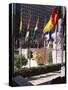 Flags Outside the Rockefeller Center, New York City, New York, USA-Walter Rawlings-Stretched Canvas