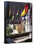 Flags Outside the Rockefeller Center, New York City, New York, USA-Walter Rawlings-Stretched Canvas