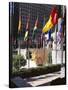 Flags Outside the Rockefeller Center, New York City, New York, USA-Walter Rawlings-Stretched Canvas