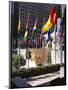 Flags Outside the Rockefeller Center, New York City, New York, USA-Walter Rawlings-Mounted Photographic Print