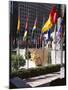 Flags Outside the Rockefeller Center, New York City, New York, USA-Walter Rawlings-Mounted Photographic Print