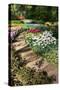 Flagstone Path with Spring Flowers-Colette2-Stretched Canvas