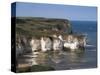 Flamborough Head, East Yorkshire, Yorkshire, England, United Kingdom-David Hunter-Stretched Canvas