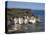 Flamborough Head, East Yorkshire, Yorkshire, England, United Kingdom-David Hunter-Stretched Canvas