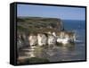 Flamborough Head, East Yorkshire, Yorkshire, England, United Kingdom-David Hunter-Framed Stretched Canvas