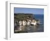 Flamborough Head, East Yorkshire, Yorkshire, England, United Kingdom-David Hunter-Framed Photographic Print