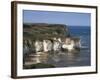 Flamborough Head, East Yorkshire, Yorkshire, England, United Kingdom-David Hunter-Framed Photographic Print