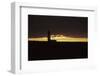 Flamborough Head, Lighthouse at Evening, 20th century-CM Dixon-Framed Photographic Print