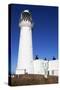 Flamborough Head Lighthouse, East Riding of Yorkshire, England, United Kingdom, Europe-Mark Sunderland-Stretched Canvas