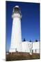 Flamborough Head Lighthouse, East Riding of Yorkshire, England, United Kingdom, Europe-Mark Sunderland-Mounted Photographic Print