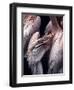 Flamboyance 1-Design Fabrikken-Framed Photographic Print