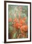 Flamboyance-Stephen Mitchell-Framed Art Print