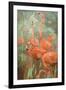 Flamboyance-Stephen Mitchell-Framed Art Print