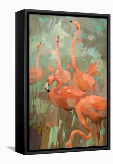 Flamboyance-Stephen Mitchell-Framed Stretched Canvas