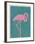 Flamboyant Flamingo-Clara Wells-Framed Giclee Print