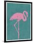 Flamboyant Flamingo-Clara Wells-Framed Giclee Print