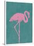 Flamboyant Flamingo-Clara Wells-Stretched Canvas