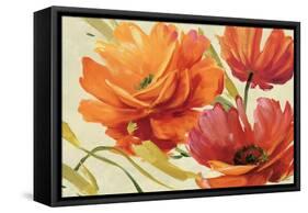 Flamboyant III-Lisa Audit-Framed Stretched Canvas