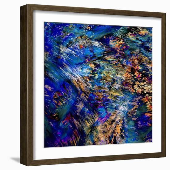 Flamboyant-Ursula Abresch-Framed Photographic Print