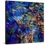 Flamboyant-Ursula Abresch-Stretched Canvas