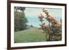 Flame Azalea, Blue Ridge Parkway-null-Framed Art Print