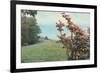 Flame Azalea, Blue Ridge Parkway-null-Framed Art Print