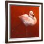 Flame Bird Flamingo-Jeremy Paul-Framed Giclee Print