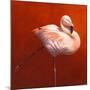 Flame Bird Flamingo-Jeremy Paul-Mounted Giclee Print